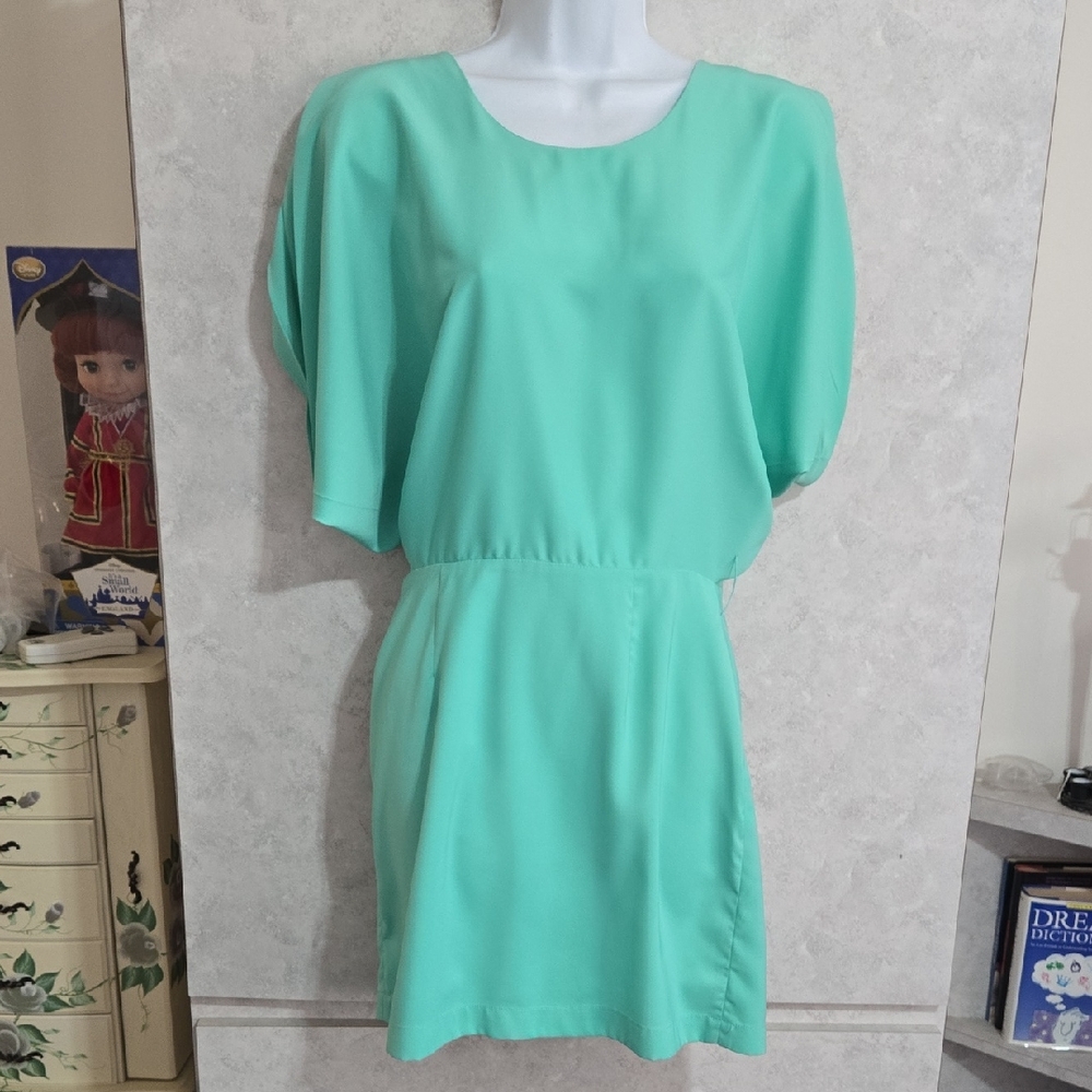 Ark & Co Mint Green Short Sleeve Mini Dress